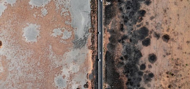 Signs Your Home Has a Mold Problem